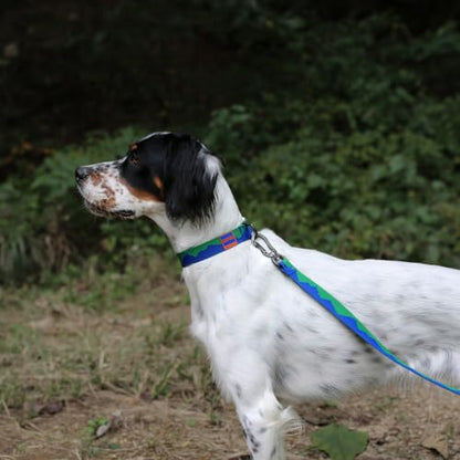 Charlie’s Backyard Teton Dog Collar, Urban to Trail Lightweight & Adjustable with Quick Release DURAFLEX Buckle, Durable D-Ring & All-Day Comfort, Sierra Dream, Small - color: Sierra Dream, size: Small