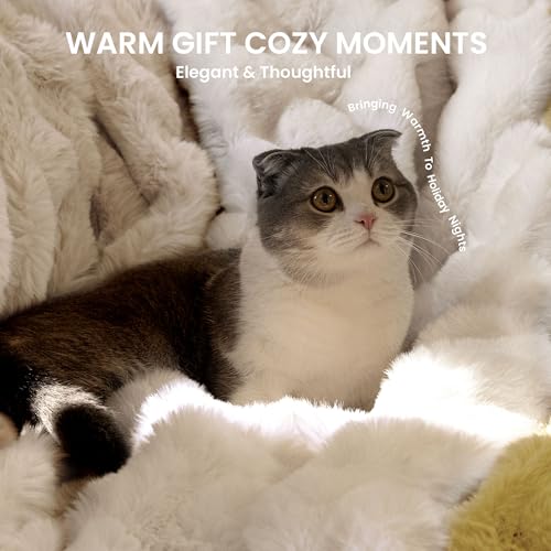 Electric Heated Blanket for Girls & Women, Soft & Luxurious,Faux Fur Heating Throw Blankets, 6 Heat Settings, Overheat Protection, Quick Heating, Memory Function, Giftable, 50"x60",Off White - color: Off White