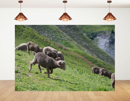 6x4ft Single Running Wool Sheep Backdrop Rolling Green Hillside Foggy Cliff Background Photography Background Tapestry Party Country Pasture Scenery Decorations Banner Photo Booth Props - size: 6x4ft
