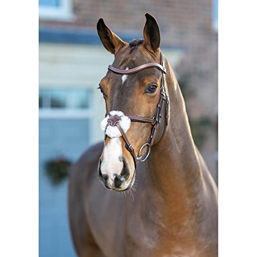 LeMieux Arika Grackle Bridle - color: Havana/Silver, size: Full