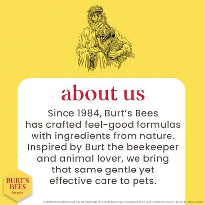 Burt's Bees for Pets Palm Brush with Hemp Bristles, Large Dogs, 2-Pack - size: 2 Count
