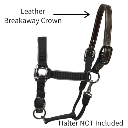 Tahoe Tack 14" Mini Horse Halter Replacement Breakaway Crown – Premium Single Layer Dark Brown Leather, Durable and Flexible Design