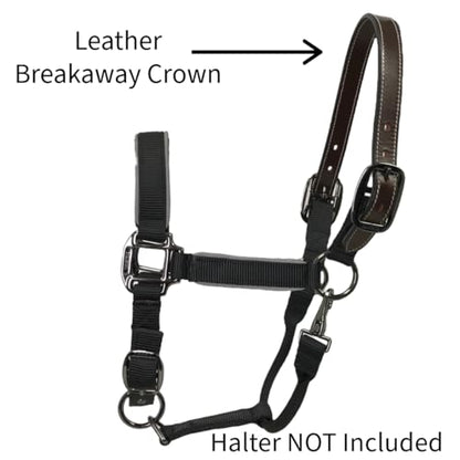 Tahoe Tack 14" Mini Horse Halter Replacement Breakaway Crown – Premium Single Layer Dark Brown Leather, Durable and Flexible Design