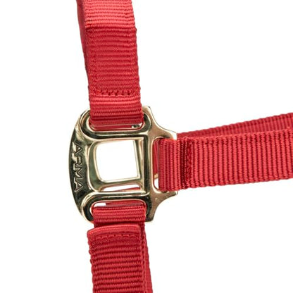 Shires ARMA Adjustable Nylon Halter - color: Red, size: Cob