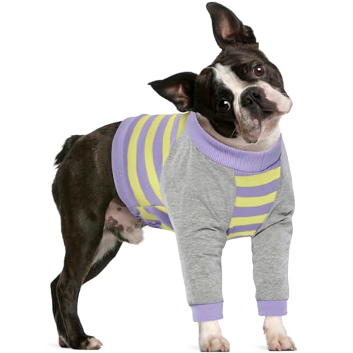 FUAMEY Dog Recovery Sleeve with Elbow Protector Purple Stripes S | Dog Shirt Stop Licking Joints, Long Sleeve Suit, Protecting Front Leg Arm, Wounds Cover Skin Conditions,Alternative to Cone - color: Purple Stripes, size: S(Weight:20-28lbs)
