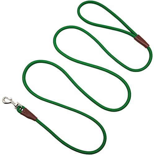 Small Dog Leash 1/4" by 6/8/10 FT Lightweight Strong Rope Leash - color: dark green, size: 1/4" x 10'