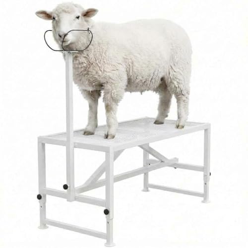 Goat Milking Stand, Metal Livestock Platform - Heavy Duty 47"X23" Metal Livestock Shearing Stand with Adjustable Height (21" to 33") & Headpiece/Nose Loop, White - color: White