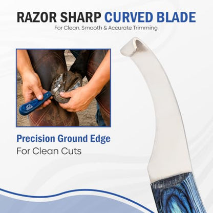 Equine Care Right-Handed Hoof Knife, J2 Stainless Steel, Farrier Tool