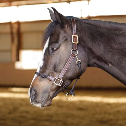 Schneiders Leather and Rope Nose Combo Control Halter for Horses | Breakaway Safety Crown | Rope Nose for Responsiveness - size: Cob