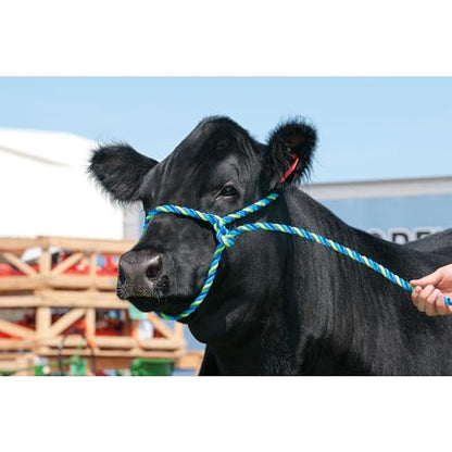 Weaver Leather Unisex Adult Livestock Rope Halter, Blue/Hurricane Blue/Lime, Cow US
