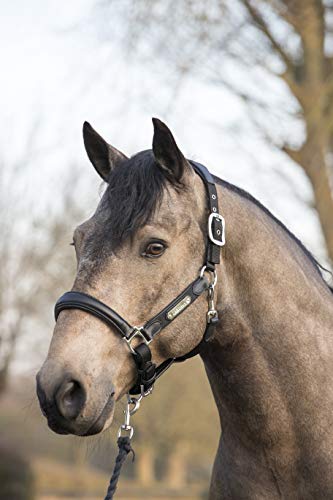 LeMieux Capella Headcollar for Horses - Leather/Nylon - Pressure Relief & Soft Touch - color: Black