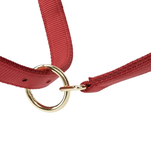 Shires ARMA Adjustable Nylon Halter - color: Red, size: Cob