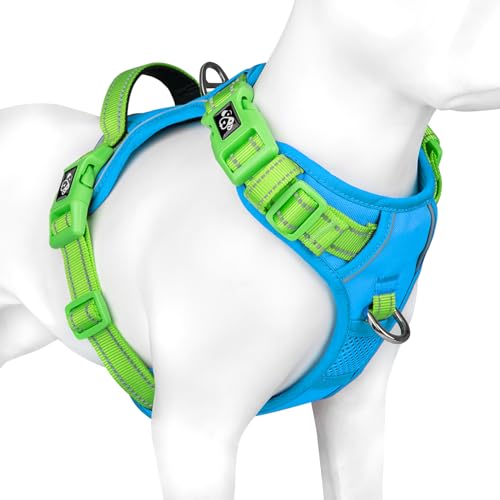 PHOEPET No Pull Dog Harness, Unique Colors Reflective Adjustable Dog Vest - color: Blue Base & Green Straps, size: Small