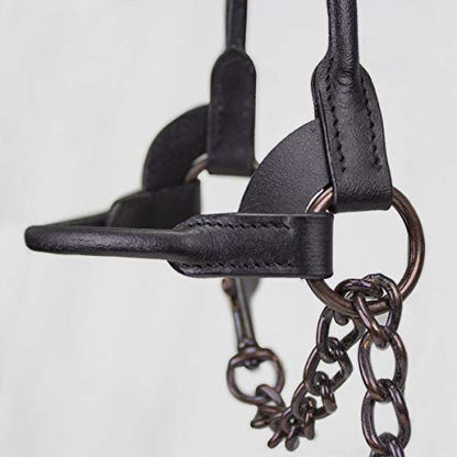 Derby Originals Bronze Beauty Premium Round Rolled Leather Cattle Show Halter with Matching Chain Lead - color: Havana, size: Medium (650-1050lbs)