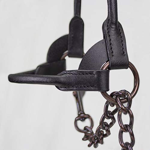 Derby Originals Bronze Beauty Premium Round Rolled Leather Cattle Show Halter with Matching Chain Lead - color: Chestnut, size: Large (950lbs-1500lbs)