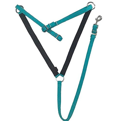 Majestic Ally Nylon Padded Equestrian Browband Headstall, Reins & BreastCollar Set for Horse- Full - color: Turquoise