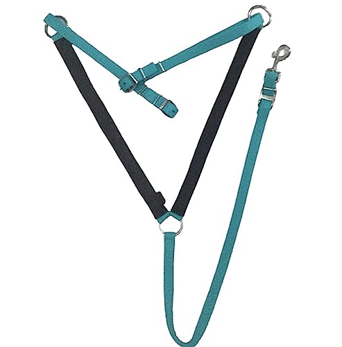 Majestic Ally Nylon Padded Equestrian Browband Headstall, Reins & BreastCollar Set for Horse- Full - color: Turquoise
