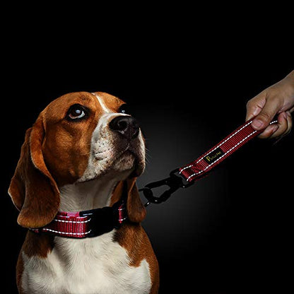 PLUTUS PET 10” Short Dog Leash, Reflective Nylon Padded Handle, Strong Traffic Leash with Carabiner Clip, Perfect for Large or Medium Dogs（10”，Red | Reflective, Heavy Duty Strong Nylon, Traffic Leash with Carabiner Clip for Training Walking (10", Red) - c