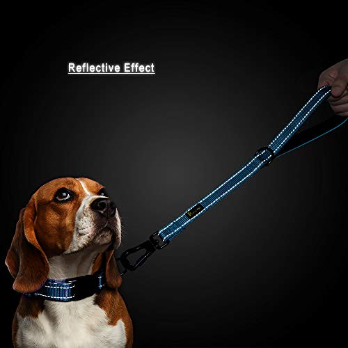 PLUTUS PET Short Training Dog Leash with Padded Handle for Medium Large Big Dogs,18 Inch Heavy Duty Strong Traffic Leash with Carabiner Clip for Climbing Walking or Guiding Blind（18”，Blue | Reflective, Heavy Duty Strong Nylon, Traffic Leash with Carabiner
