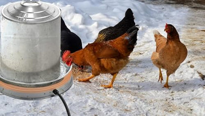 Poultry Chicken Water Heater: Chicken Water Heater Base for Winter, for Plastic/Metal Poultry Watere 11inch, Heated Waterer for Chickens 125W 2 Pack - size: 11 inch (2-Pack)