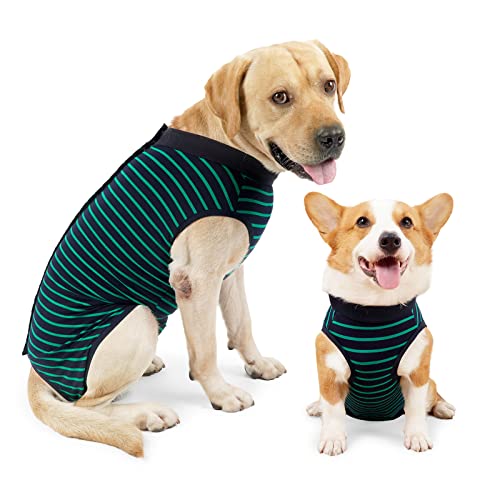 Dotoner Dog Recovery Suit Abdominal Wound Puppy Surgical Clothes Post-Operative Vest Pet After Surgery Wear Substitute E-Collar & Cone(M,Green) - color: Green, size: Medium (Pack of 1)
