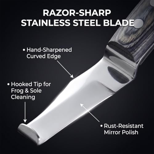Premium Hoof Knife with Brass End, Stainless Steel