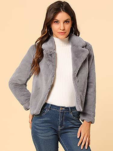 Allegra K Women's Cropped Faxu Fur Jacket Lapel 2026 Winter Fur Coat Outfit - color: Grey, size: Large