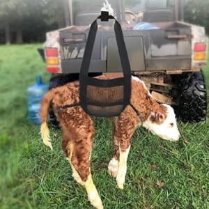 Livestock Sling for Goat Hoof Trimming and Calf Weighing Heavy Duty