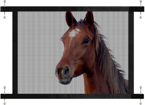 Horse Trailer Window Screen with Hook and Loop, Horse Trailer Accessories to Protect the Horse's Eyes and Ears from Bugs and Debris and Enhances Air Circulation - style: 1 Pack