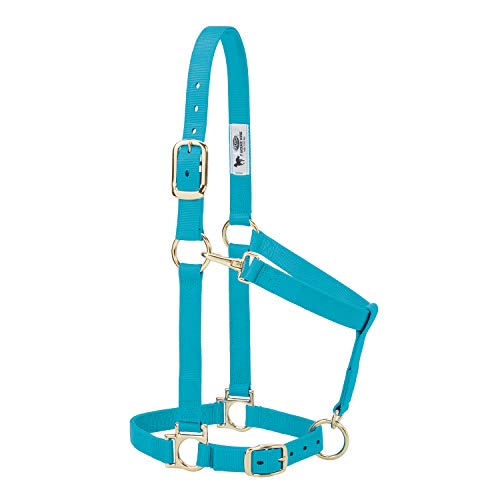 Weaver Leather Nylon Horse Halter, Padded and Adjustable, Chin and Throat Snap Hook Halters for Horses, Brass Plated Halters for Training - color: Turquoise, size: 1" Average Horse