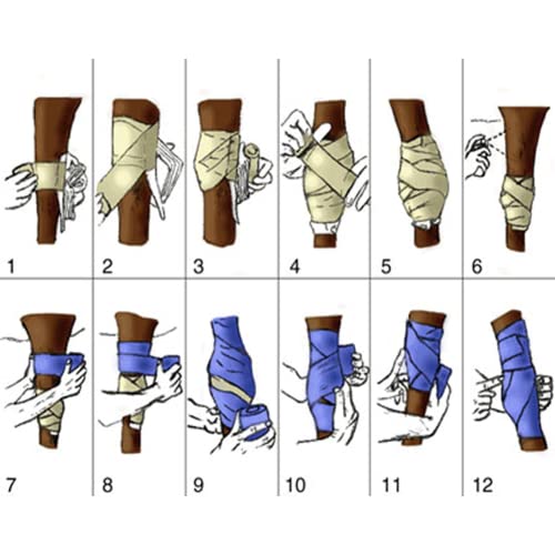 Elastic Polo Leg Wrap Compression Bandage for Horses, Dogs, Cats, Sheep, Cow, Dog Wound Care, Vet Wrap - color: Rainbow