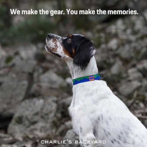 Charlie’s Backyard Teton Dog Collar, Urban to Trail Lightweight & Adjustable with Quick Release DURAFLEX Buckle, Durable D-Ring & All-Day Comfort, Sierra Dream, Small - color: Sierra Dream, size: Small