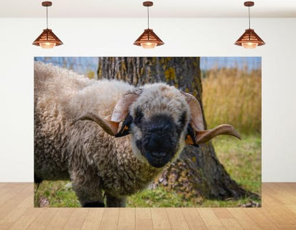 4x4ft Fabric Black Faced Sheep Backdrop Curly Wool Sheep Farm Animal Portrait Photography Background Tapestry Party Farm Scene Home Wall Decorations Banner Photo Booth Props - size: 4x4ft
