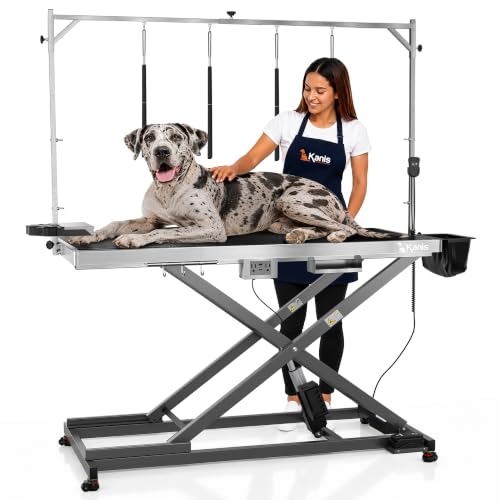 KANIS Professional Electric Dog Grooming Table - Heavy Duty - color: GREY, size: 60"