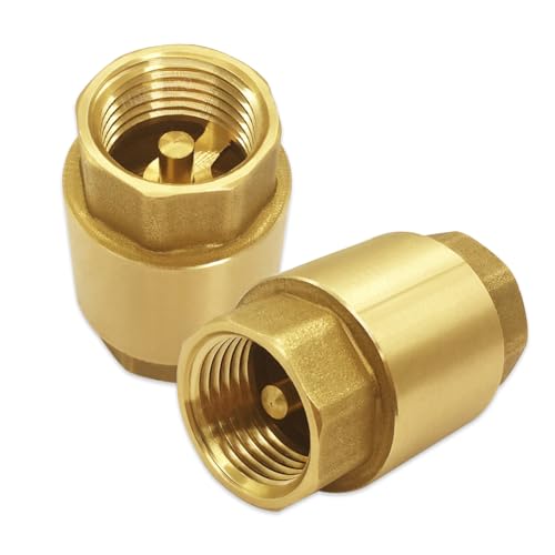 Hooshing 2PCS Spring Check Valve 3/4" NPT Female Thread Backflow Preventer - size: 3/4" NPT