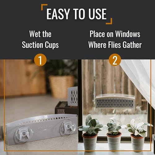 Dr. Killigan's Sticky Window Fly Traps Indoor, 2 Traps + 4 Inserts