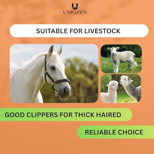 Heavy Duty Horse Clippers 600W Professional Electric Grooming Kit for Horses, Goats, Cattle & Livestock – 6-Speed Heavy Duty Farm Haircut Trimmer for Thick Coats – Equine Clippers with Accessories
