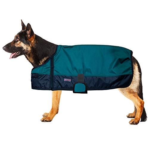 HILASON Dog Winter Jacket Hunter Green Black Large - color: Hunter Green Black, size: Large