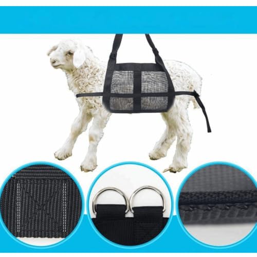 Calf Sling for Weighing Animals,60LBS Capacity Livestock Weighing Sling with Adjustable Back Straps, Small Animal Hanging Weight Harness for Calves,Pigs