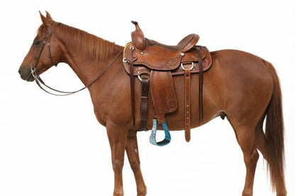 Horse Western 5" Wide Barrel Racer Engraved Aluminum Show Stirrups 51177v - color: Turquoise, size: 5" Width, 5" Height