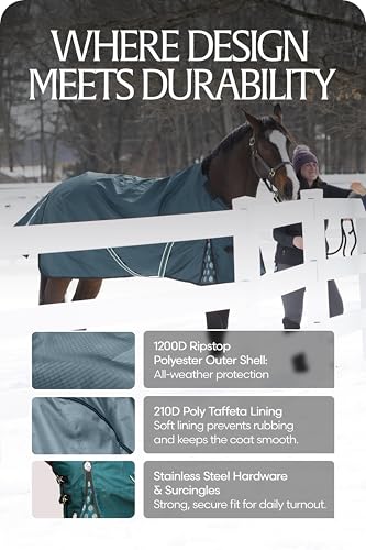 Equinavia Arktis Regular Neck Turnout Sheet - Deep Green - 78 in - color: Deep Green, size: 78 in