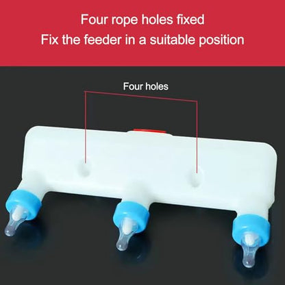 Small Animal Milk Feeder 3 Nipple Bottle