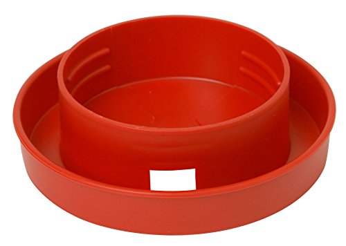 Little Giant® Quail Waterer Base - 1 Quart Screw On Base with Narrow Channel - Designed for Quail and Baby Poultry Chicks - Made in USA (Red, Pack of 1) - size: Pack of 1