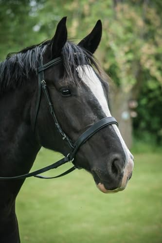Thinline Bitless Noseband - color: Black, size: 0-20