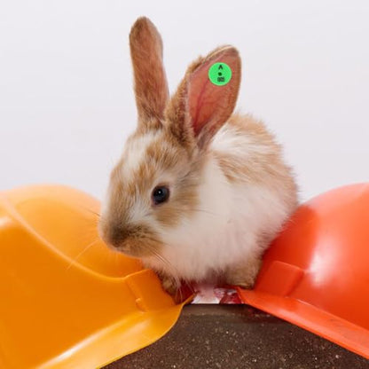 HEMOTON Rabbit Ear Tags, 100-Piece Numbered Identification Labels