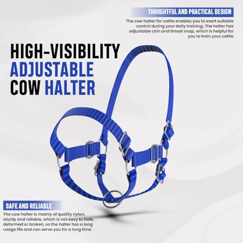 HADZAM Adjustable Nylon Cow Halter | Calf Halter one Halter for (1 Year to Full Size) Easy Adjustable Straps elimates the Need of Ill-Fitting Cattle Halter - color: BLUE