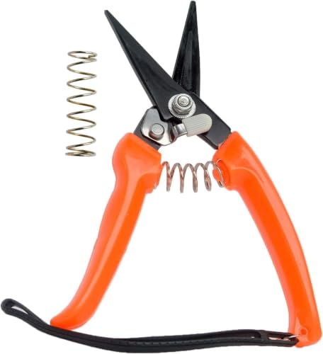 Carbon Steel Goat Hoof Trimmer Shears – Multiuse (1pc-Orange) | For goat/sheep/alpaca/lamb hooves. Rustproof serrated blade, non-slip. Curved handle, wrist strap & lock. Also for gardening