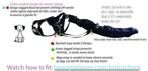 Tail Guard & Harness Set - Veterinary Dog Tail Protector & Injury Wrap, Size XS - size: XS