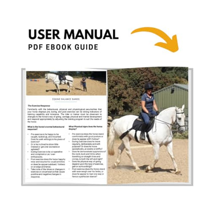 Core Conditioning Saddle Pad & Band System for Horses - style: All Purpose