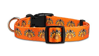 Limeloot Thanksgiving Dog Collar, Adjustable Fall Dog Collar in Small, Medium, and Large, Holiday Collar for Female and Male Dogs, Turkey, Small - color: Thanksgiving Turkey, size: Small